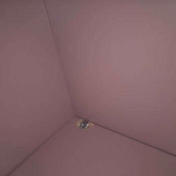 Garanti Değişimi Talebi: Çocuk Odası Takımında Çatlaklar Ve Kırıklar