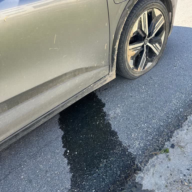 Renault Yetkili Servisinde Taşa Çarpma Sonrası Soğutma Sıvısı Sızması Ve Fabrika Sevkinde Gecikme