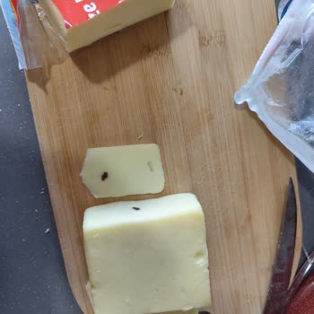 Kaşar Peynirinde Yabancı Cisim Çıktı Bebek Sağlığı Risk Altında