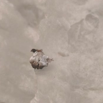 Kral Güllaç'ta Belirsiz Siyah Parçalar Ve Hijyen Endişesi