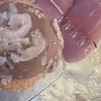 Kurabiyede Hamam Böceği, Çalışanların Saygısız Davranışı