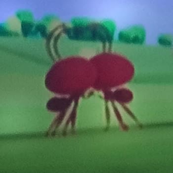 Uygunsuz Çizgi Film Sahnesinin Yayından Kaldırılması Talebi