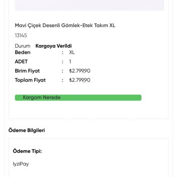 Gecikmiş İade Ve Kesintili Geri Ödeme, Müşteri Hizmetlerinin Sessizliği