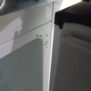 Yanlış Model Ve Ayıplı Buzdolabı Gönderimi Nedeniyle Gıda Kaybı Ve İade Talebi