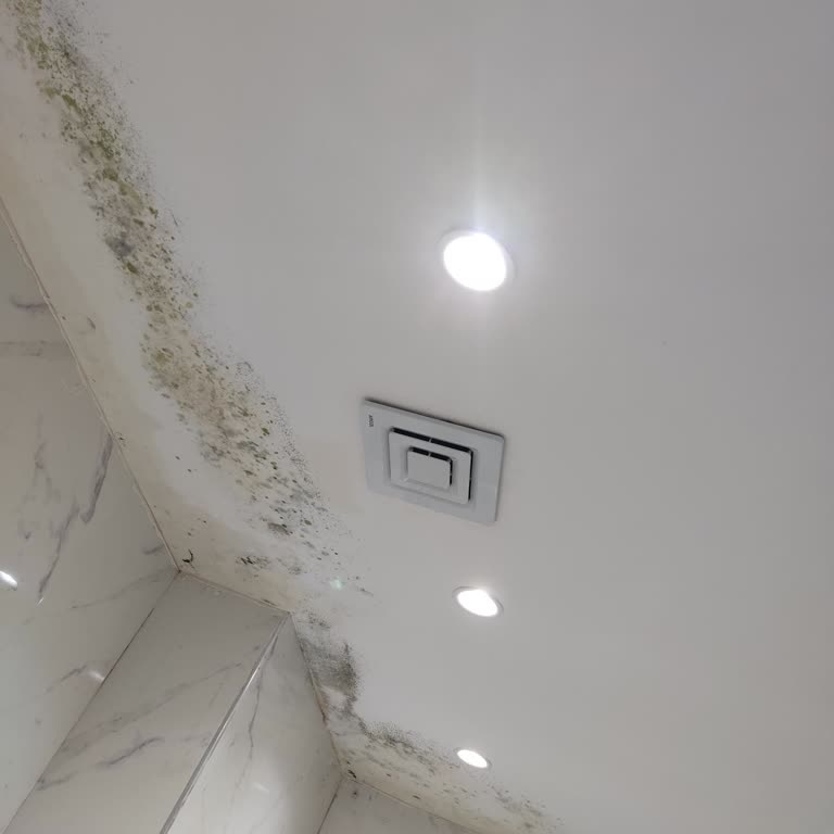 Ebeveyn Banyosundaki Sürekli Su Sızıntısı Ve Geciken Onarım Talepleri