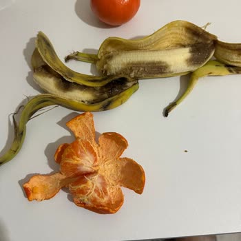 Migros Sanal Market'te Çürük Ürün Teslimatı Güvenimi Sarsıyor