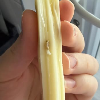 Teksüt Çeçil Örgü Dil Peynirinde Kurt Bulunması