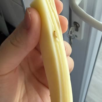 Teksüt Çeçil Örgü Dil Peynirinde Kurt Bulunması