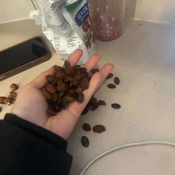 Kuruyemiş Oranı Düşük, Beklentileri Karşılamıyor