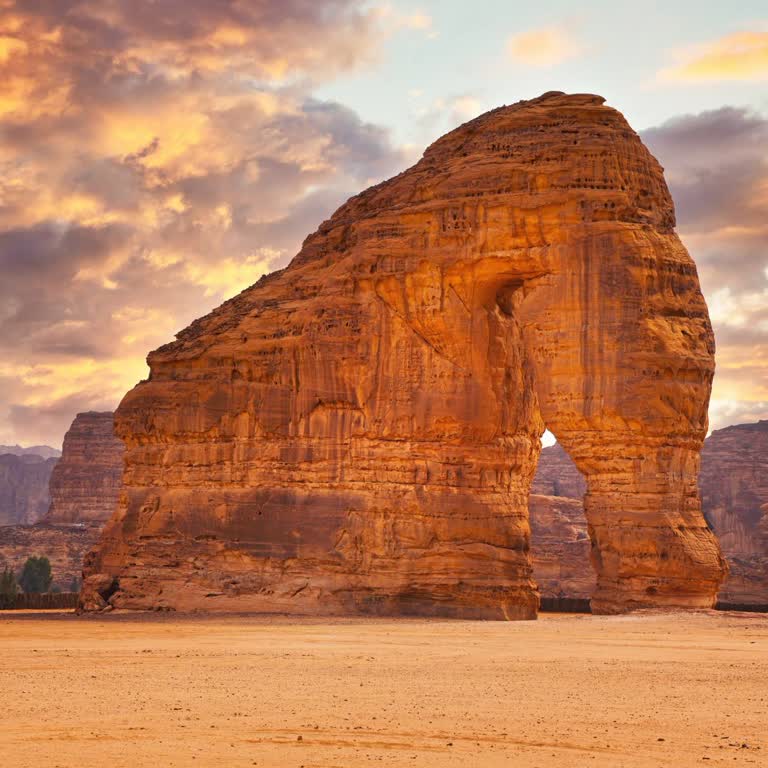 İcrypex'te 20.000 TL Değerindeki Kripto Varlıklarım Çekilemiyor Ve Hesabım Erişilemez