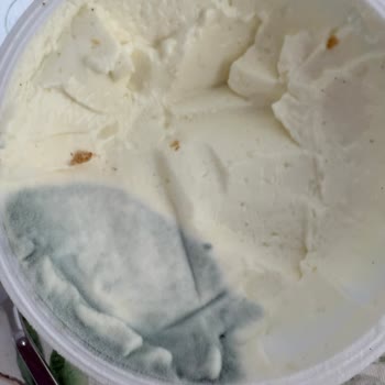 Küflenen Tek Süt Krem Peyniri İçin Geri Ödeme Talebi