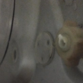 Hoover Çamaşır Makinesi Kurulumunda Hortum Kırılması Ve Su Baskını Servis Yanıtı Yok