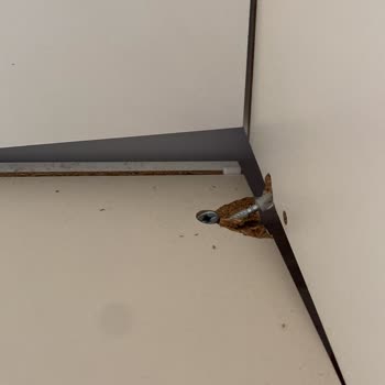 Dolabın Kırılmasıyla 20 Bin TL Zarar Makyaj Masası Devrildi Ve Yetkililer Sessiz