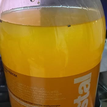 Düzce A101 Şubesinde Kristal Kola Şişesinde Sinek Görülmesi