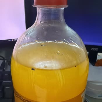 Düzce A101 Şubesinde Kristal Kola Şişesinde Sinek Görülmesi