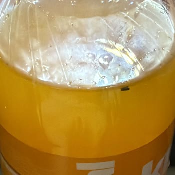 Düzce A101 Şubesinde Kristal Kola Şişesinde Sinek Görülmesi