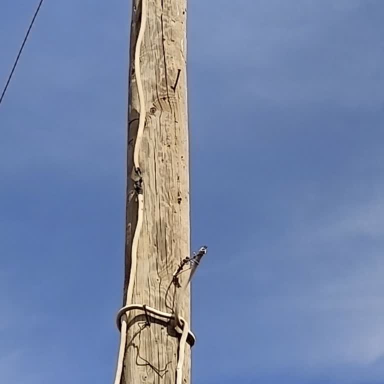 Yanmış Ve Kopmuş Elektrik Kablosu 10 Gün Onarılmadı, Personel Umursamaz