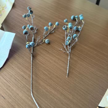 Online Siparişte Kırık Çiçek Sapı Ve Yetersiz Ürün Kontrolü