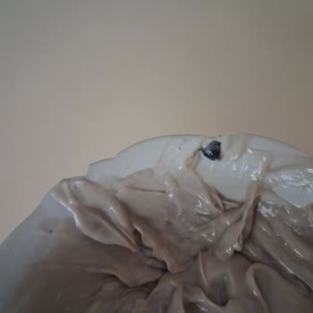 Saç Boyasında Yabancı Nesneler Bulunması Hijyen Ve Sağlık Endişesi