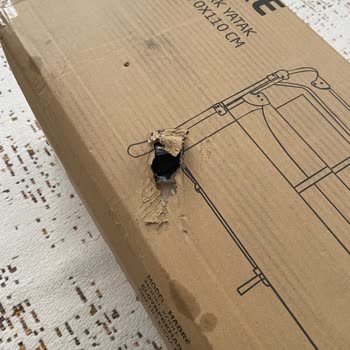 Elele Baby'de Kırık Park Yatak Ve Kirli Tekstil Ürünü, Çözüm Yetersizliği