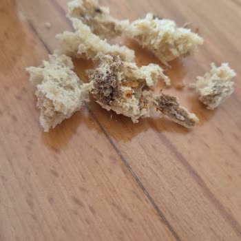 Çağdaş Market Çankaya Şubesinde Ekşi Mayalı Ekmekte Siyah Yabancı Madde Ve Sorumsuz Yaklaşım