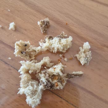 Çağdaş Market Çankaya Şubesinde Ekşi Mayalı Ekmekte Siyah Yabancı Madde Ve Sorumsuz Yaklaşım