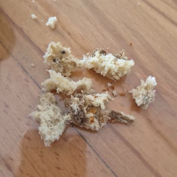 Çağdaş Market Çankaya Şubesinde Ekşi Mayalı Ekmekte Siyah Yabancı Madde Ve Sorumsuz Yaklaşım