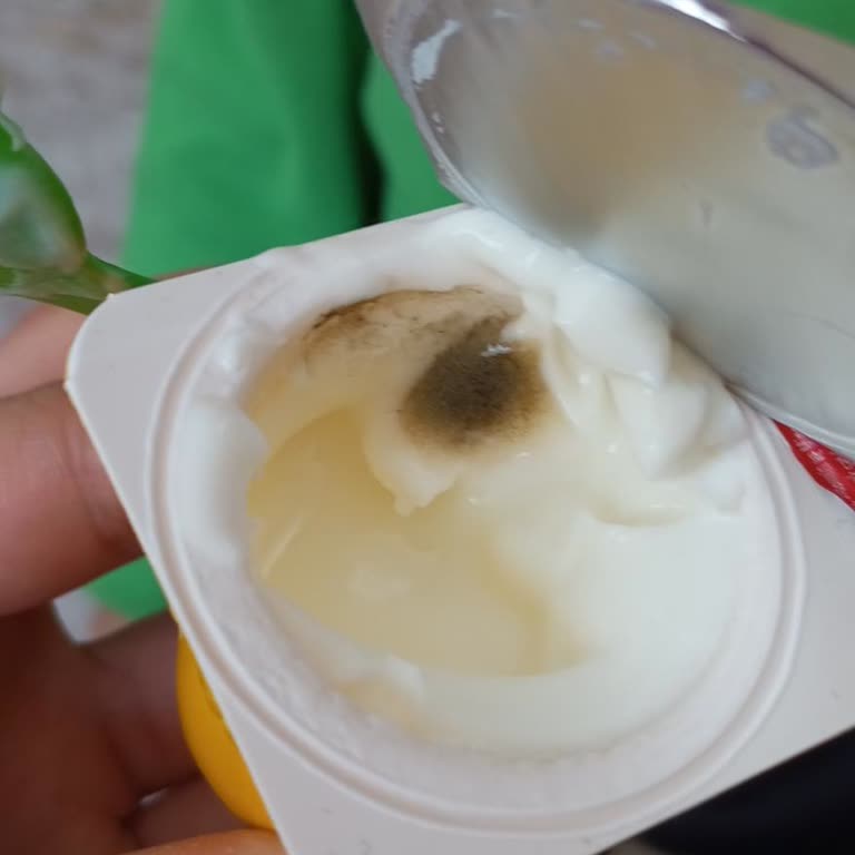 Danone Tikveşli Danino Şikayeti