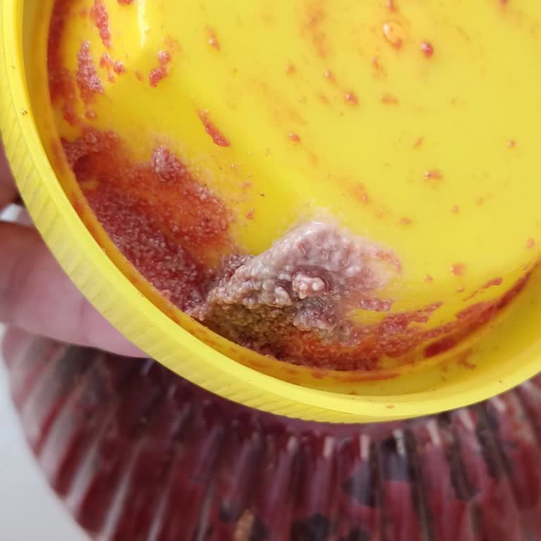 Küflü Domates Salçası Ve Cevapsız Müşteri Hizmeti Nedeniyle İade Talebi