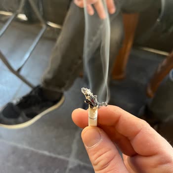 Parliament Sigara Paketinde Ağaç Dalı Sorunu