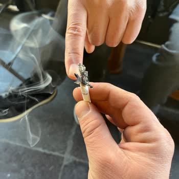 Parliament Sigara Paketinde Ağaç Dalı Sorunu