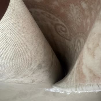 Islak Poşetlenen Halıların Küflenmesi Ve Ücret İadesi Talebi