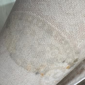 Islak Poşetlenen Halıların Küflenmesi Ve Ücret İadesi Talebi