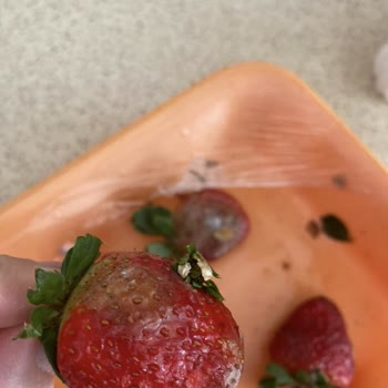 Kilpa Market Çileklerin 7–8 Tanesinin Bozuk, Kararmış Ve Çürümüş Olduğunu Gördüm