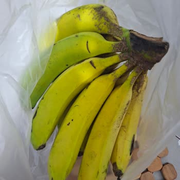 Bozulmuş Muzlar İçin İade Talebi