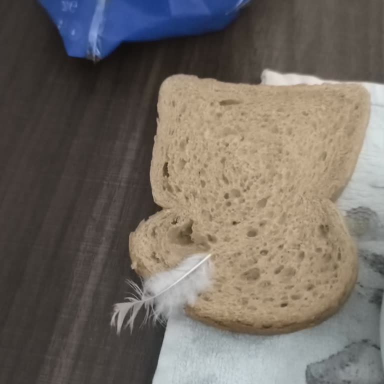 Kuş Tüyü İçeren BİM Tam Buğday Ekmeği Güven Sorunu