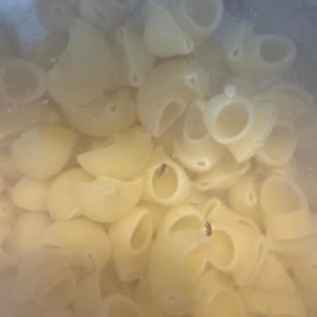 Filiz Mantı Makarna’da Böcekli Sıvı Şoku Ve Güven Kaybı