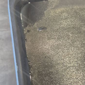 Silivri Otoban Köfteci Yusuf Şubesinde Hijyen Kurallarının İhlali