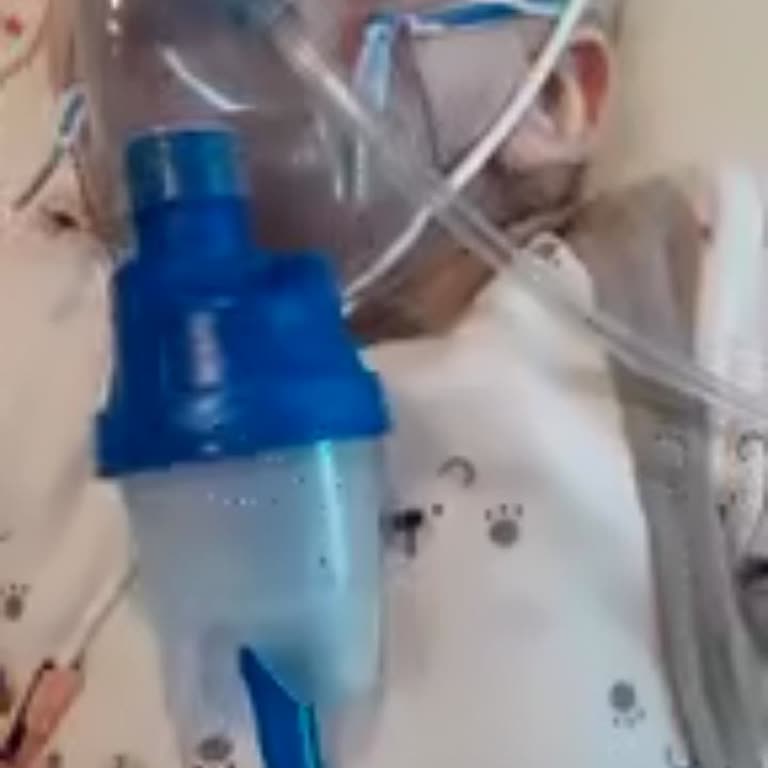 Bodrum Havalimanı Şubesinde Hız Nedeniyle Kiralama Yasağı Ve Ayrımcılık Şikayeti