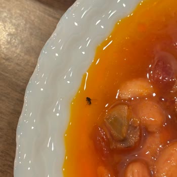 Tat Barbunya Pilakisi Konservesinde Böcek Görülmesi