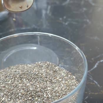 Yayla Chia Tohumunda Böcek Ve Kurtlanma Bulunması