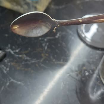 Yayla Chia Tohumunda Böcek Ve Kurtlanma Bulunması