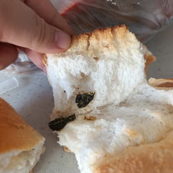 Migros Ekmekte Bulunan Yabancı Cisim Gıda Güvenliğini Tehdit Ediyor