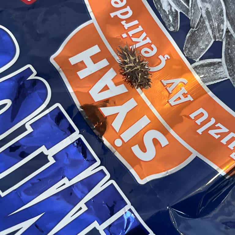 Şok Market'ten Alınan Amigo Ay Çekirdeğinde Dikenli Yabancı Cisim Gıda Güvenliğini Tehdit Ediyor