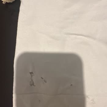 Bosch Çamaşır Makinesinin Çamaşır Yırtma Sorunu Ve Servisin Reddettiği Değişim Talebi