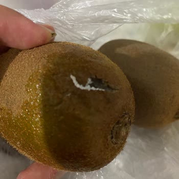 Ordu 3M Migros Mağazasında Tekrarlanan Bozuk Ürün Şikayeti