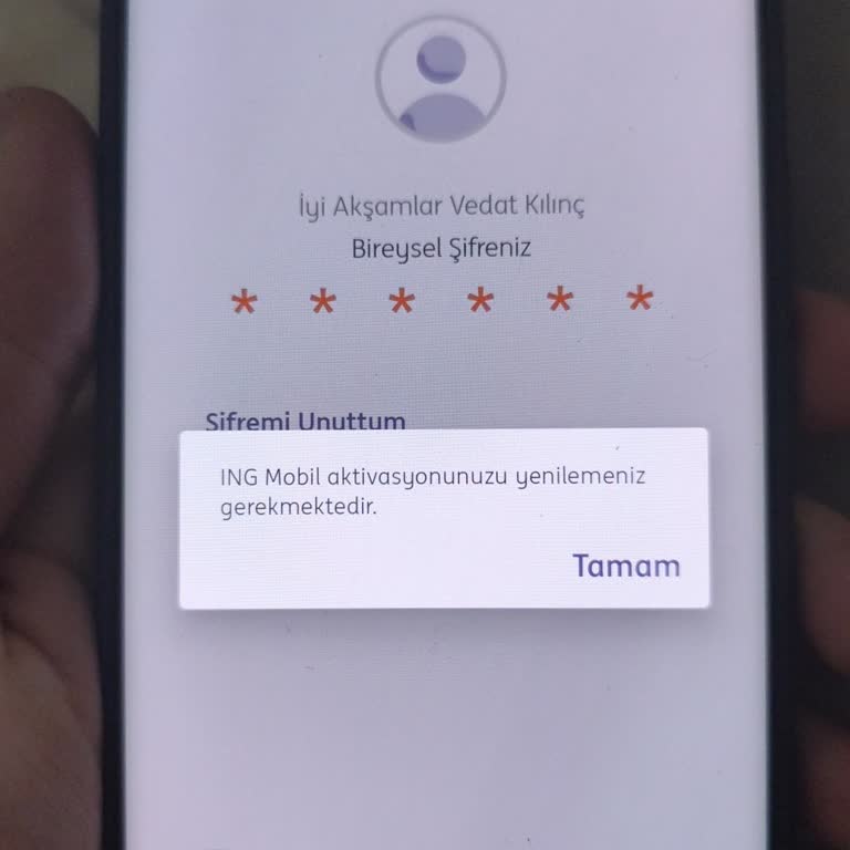 ING'de Gerekçe Olmadan Hesabım Kapatıldı, 600 Km Uzak Şube Nedeniyle Erişilemiyor