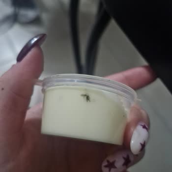 Ohannes Burger Sosunda Sinek Tespiti Hijyen Şikayeti