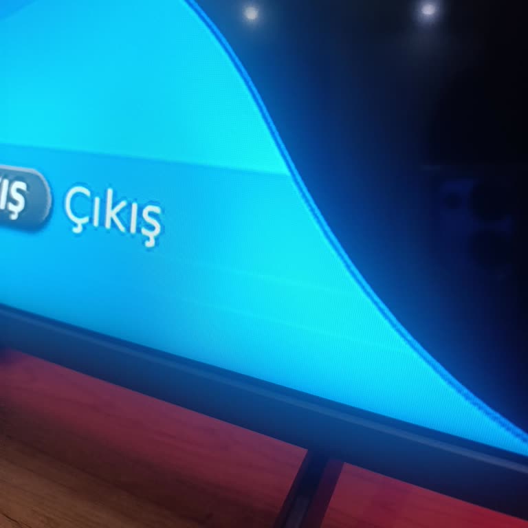 Philips 55pus8108 TV'de Tekrarlayan Ekran Sorunları Ve Değişim Talebi