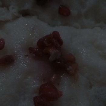 Bozuk Güllaç Tatlısı Sağlık Riskine Yol Açtı